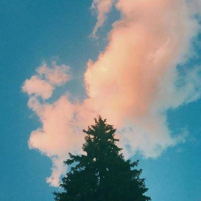 萌幻世界游戏下载